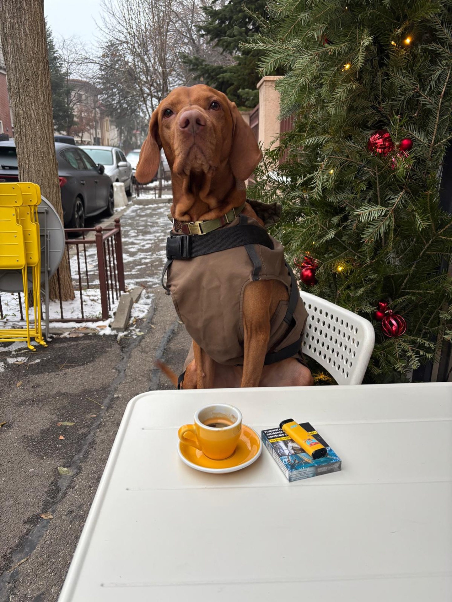 Incotro speciality coffee